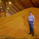 Illustration for article titled How the Drought Is Devastating California's #1 Food Export: Almonds